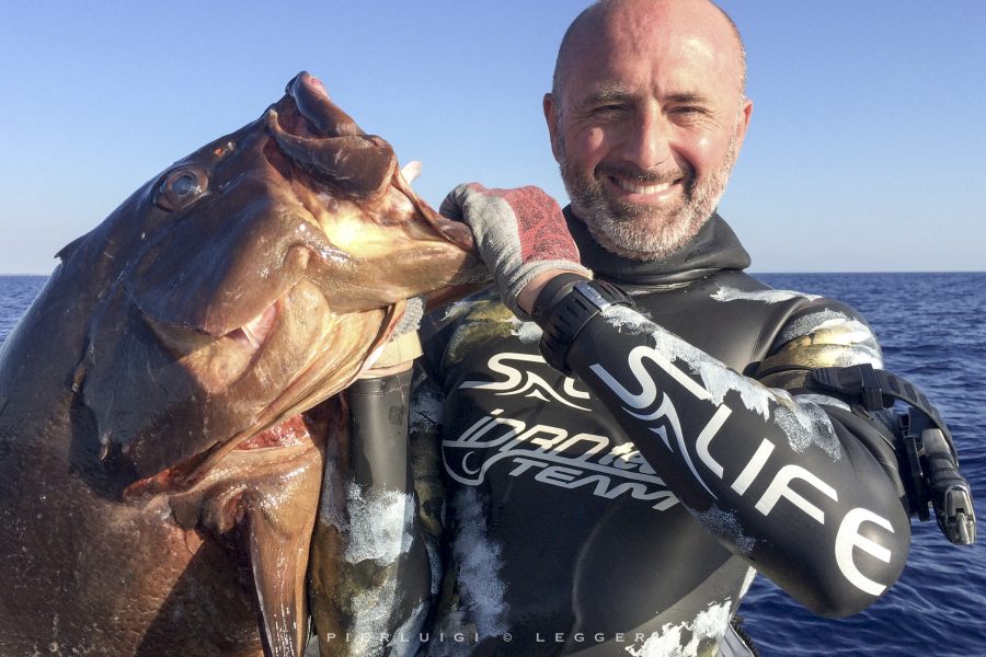 The great groupers of the Costa Smeralda